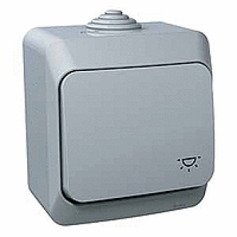 WDE000613 - Cedar Plus - 1pole pushbutton - 16A light symbol grey, Schneider Electric