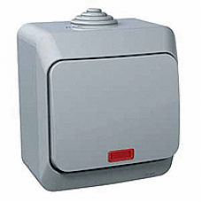 WDE000614 - Cedar Plus - 1pole switch - 16AX locator light grey, Schneider Electric