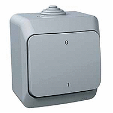 WDE000620 - Cedar Plus - 2pole switch - 16AX grey, Schneider Electric