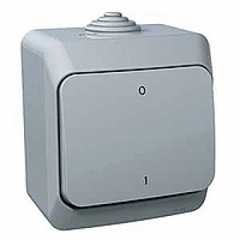 WDE000620 - Cedar Plus - 2pole switch - 16AX grey, Schneider Electric