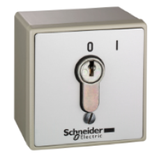 XAPS11111N - vandal resistant surface mounted control station - XAP-S - lock, Schneider Electric