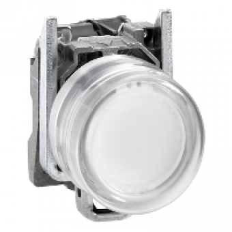XB4BP183BG5EX - white illuminated pushbutton - Ø 22 - 24..120 V - ATEX, Schneider Electric