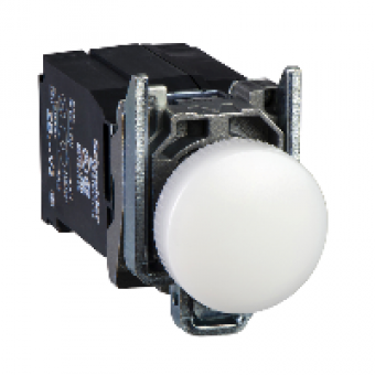 XB4BV8B1 - white complete pilot light Ø22 plain lens with integral LED 440...460V, Schneider Electric