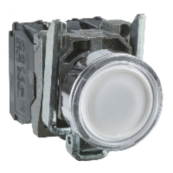 XB4BW31B5 - white flush complete illum pushbutton Ø22 spring return 1NO+1NC 24V, Schneider Electric
