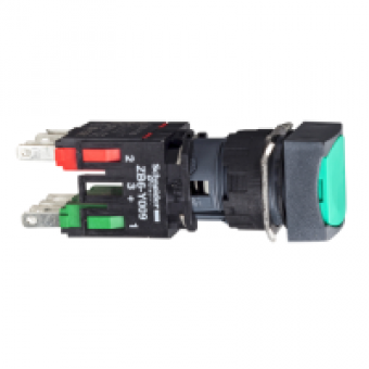 XB6CA31B - green square flush complete pushbutton Ø16 spring return 1NO unmarked, Schneider Electric