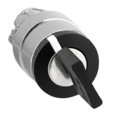 ZB4BG4 - KEY SWITCH, Schneider Electric