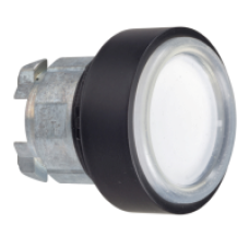 ZB4BP1837 - white flush pushbutton head Ø22 spring return unmarked, Schneider Electric