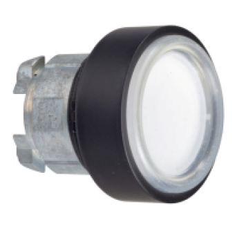 ZB4BP1837 - white flush pushbutton head Ø22 spring return unmarked, Schneider Electric