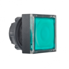ZB5CW333 - green square flush illum pushbutton head Ø22 spring return for integral LED, Schneider Electric