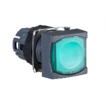 ZB6CW3 - green square flush illuminated pushbutton head Ø16 spring return 12...24V, Schneider Electric