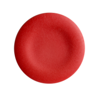 ZBA4 - red cap unmarked for circular flush pushbutton Ø22, Schneider Electric
