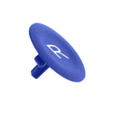 ZBA639 - blue cap marked R for circular pushbutton Ø22, Schneider Electric
