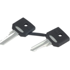 ZBG455 - set of 2 keys 455, Schneider Electric