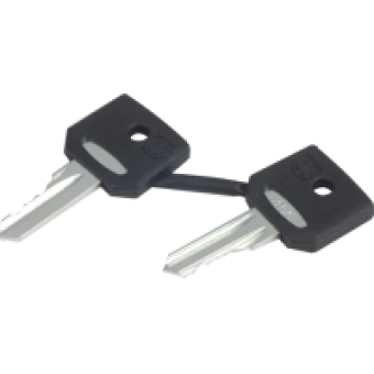 ZBG455 - set of 2 keys 455, Schneider Electric