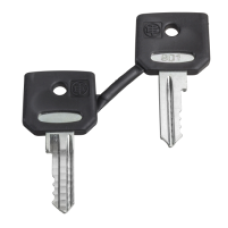ZBG520E - set of 2 keys 520E, Schneider Electric