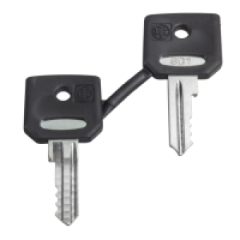 ZBG520E - set of 2 keys 520E, Schneider Electric