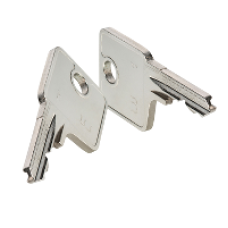 ZBGC - set of 2 special keys for 5 multichips keylock, Schneider Electric