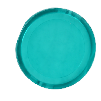 ZBW9133 - green plain lens for circular illuminated pushbutton Ø22 with integral LED, Schneider Electric